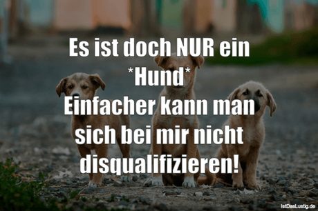 Lustiger BilderSpruch - Es ist doch NUR ein *Hund* Einfacher kann man...