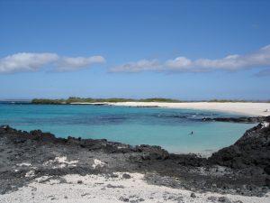 Felsstrand Galapagosinseln