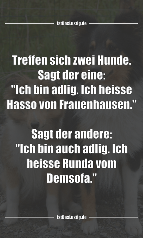 Treffen sich zwei Hunde. Sagt der eine: 