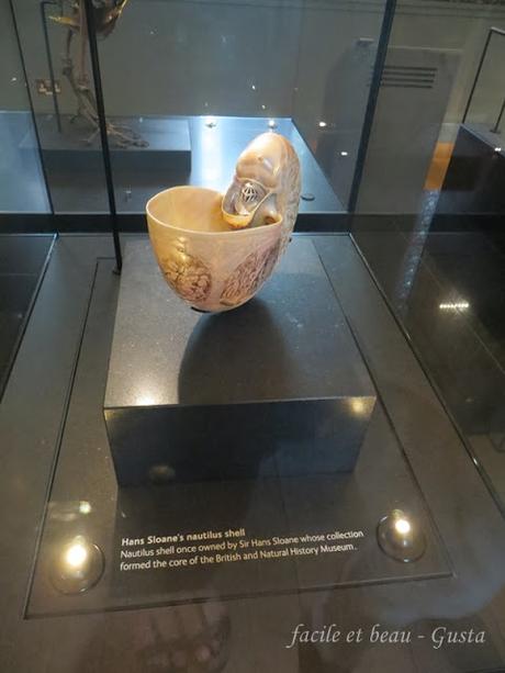 Hans Sloane's nautilus shell
