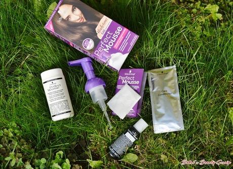 [Review] – „Perfect Mousse“ – die easy Schaumcoloration: