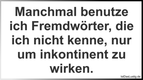 Lustiger BilderSpruch - Manchmal benutze ich Fremdwörter, die ich nicht...