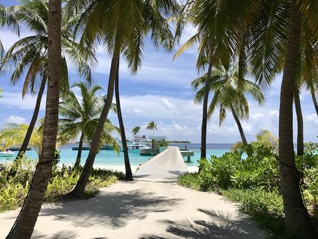 Dhigali Maldives Malediven - Reiseblog ferntastisch