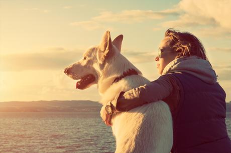 Tipps für den Urlaub mit Hund am Meer
