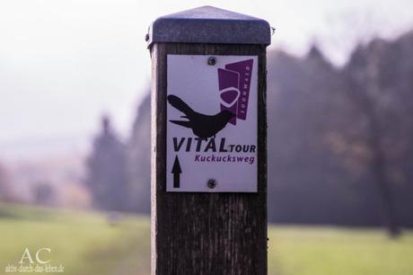 Vitaltour Kuckucksweg – Wiesen, Wälder, Weinberge im bunten Herbst