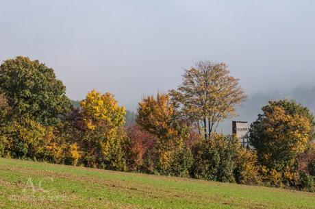 Vitaltour Kuckucksweg – Wiesen, Wälder, Weinberge im bunten Herbst