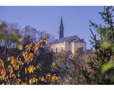 Vitaltour Kuckucksweg – Wiesen, Wälder, Weinberge im bunten Herbst