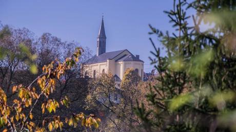 Vitaltour Kuckucksweg – Wiesen, Wälder, Weinberge im bunten Herbst