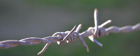 Mann verfängt sich in Stacheldrahtzaun