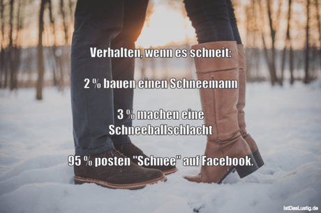 Lustiger BilderSpruch - Verhalten, wenn es schneit:  2 % bauen einen...
