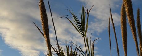 Kalenderblatt | 01.12.2017