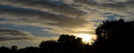 Kalenderblatt | 02.12.2017