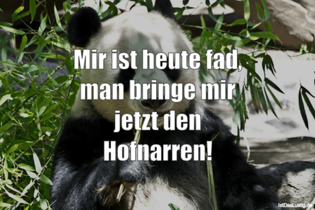 Lustiger BilderSpruch - Mir ist heute fad, man bringe mir jetzt den...