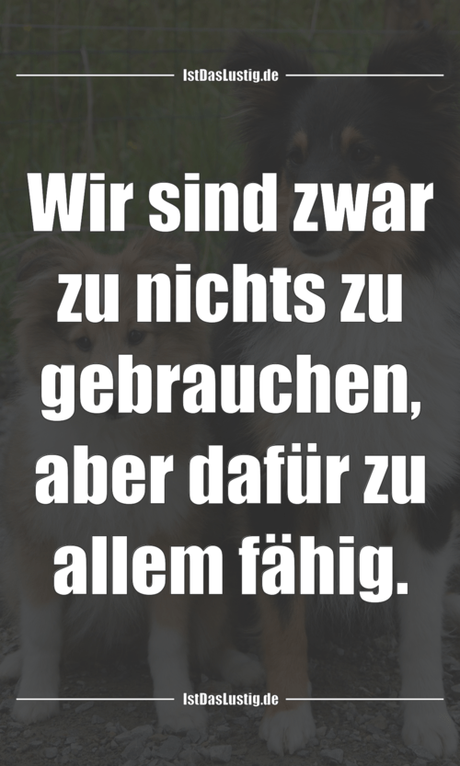 Lustiger BilderSpruch - Wir sind zwar zu nichts zu gebrauchen, aber...