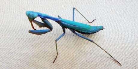 nach Valencia: Nichtstun und Muscheln