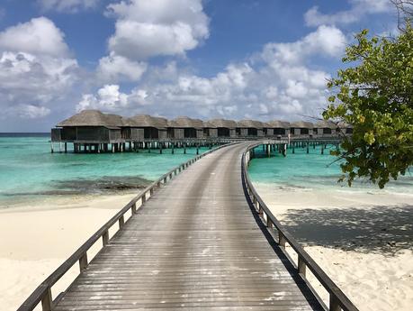 JA Manafaru Malediven - Reiseblog ferntastisch