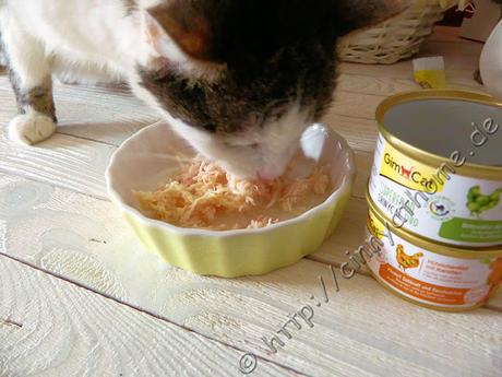 Mit GimCat bekommen meine Katzen Superfood #Gimborn #Katzenfutter #FrBT17