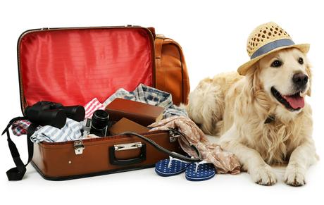 Urlaub mit Hund – Infos und Tipps