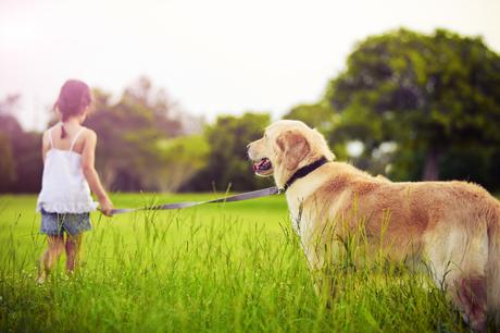 Urlaub mit Hund – Infos und Tipps