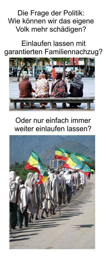 Die SPD verliert ihre Stammwählerschaft, bekommt dafür Familiennachzug. Die unbegrenzte Einwanderung in den Sozialstaat – Wir sind Asyl!