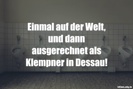 Lustiger BilderSpruch - Einmal auf der Welt, und dann ausgerechnet als...