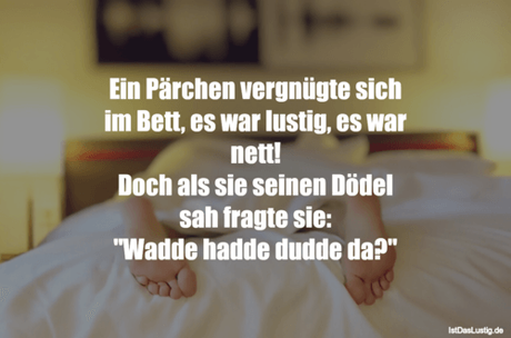 Lustiger BilderSpruch - Ein Pärchen vergnügte sich im Bett, es war...