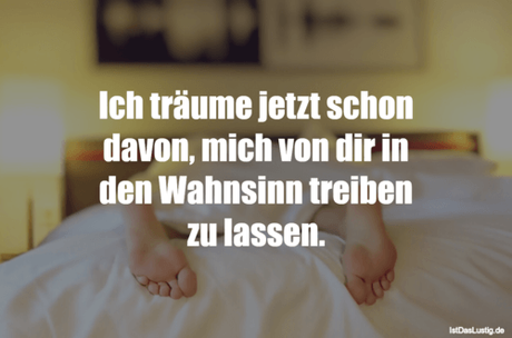 Lustiger BilderSpruch - Ich träume jetzt schon davon, mich von dir in...