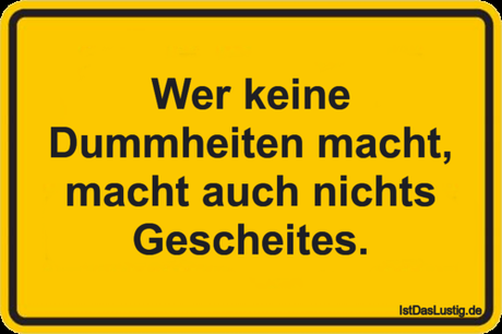 Lustiger BilderSpruch - Wer keine Dummheiten macht, macht auch nichts...