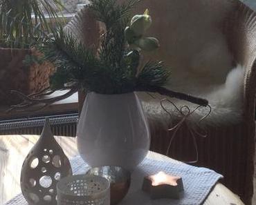 Friday-Flowerday – oder – Nun kommt sie weihnachtlich daher: Die Amaryllis