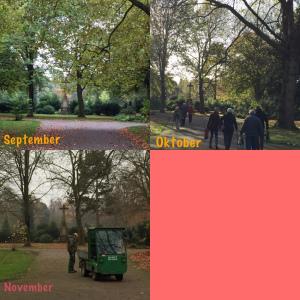 12tel-Blick November 2017 – oder – Von fleißigen Friedhofsgärtnern und kahlen Bäumen