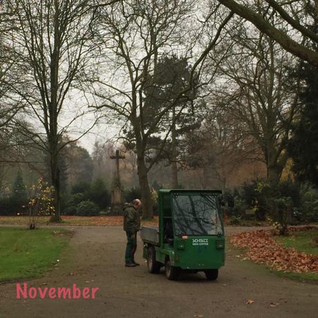 12tel-Blick November 2017 – oder – Von fleißigen Friedhofsgärtnern und kahlen Bäumen