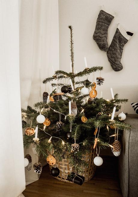 Mein nachhaltiger Weihnachtsbaum – Blogmas 11