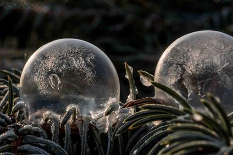 Richie´s Blick auf die Welt #Seifenblasen #Gefroren #Winter