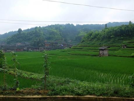 Graswurzelbewegungen im ländlichen China