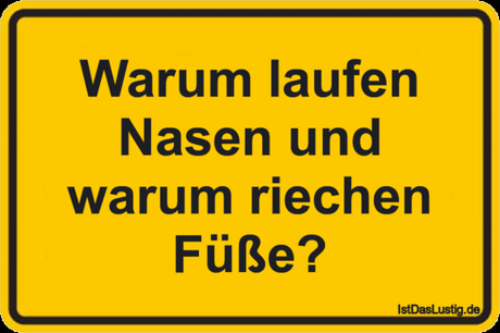 Lustiger BilderSpruch - Warum laufen Nasen und warum riechen Füße?
