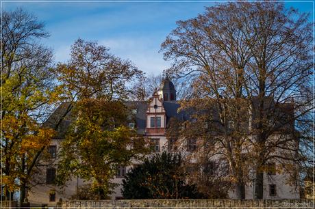 Schloss Babenhausen (Hessen)