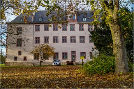 Schloss Babenhausen (Hessen)