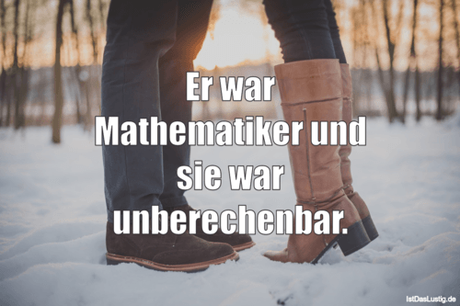 Lustiger BilderSpruch - Er war Mathematiker und sie war unberechenbar.