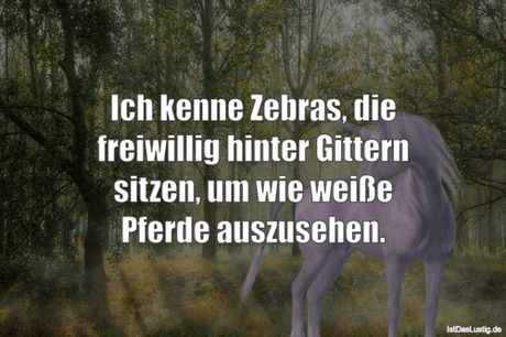 Lustiger BilderSpruch - Ich kenne Zebras, die freiwillig hinter Gittern...