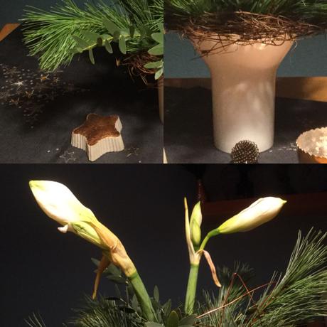 Von Weihnachtssternen aus Papier und echten Amaryllis – oder – Meine Blume des Monats: Amaryllis von prunkvoll bis schlicht