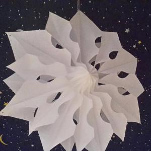 Von Weihnachtssternen aus Papier und echten Amaryllis – oder – Meine Blume des Monats: Amaryllis von prunkvoll bis schlicht
