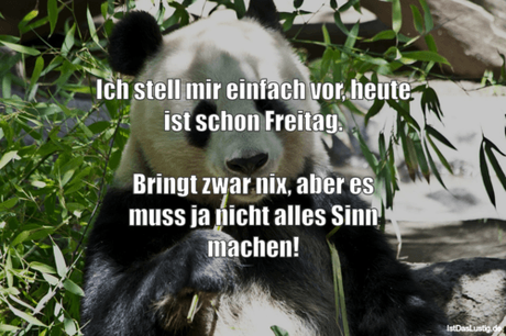 Lustiger BilderSpruch - Ich stell mir einfach vor, heute ist schon...