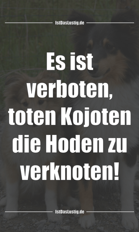 Lustiger BilderSpruch - Es ist verboten, toten Kojoten die Hoden zu...