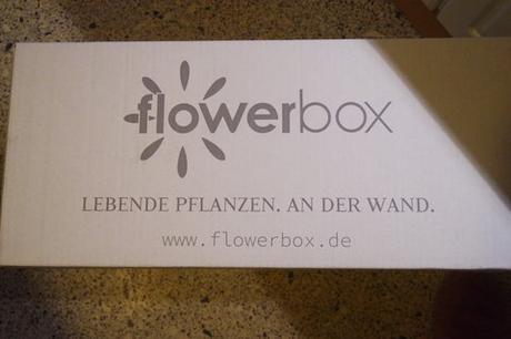 “ Flowerbox “ die 2. / 2. Teil