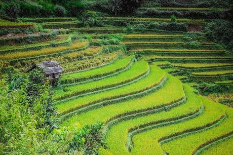Vietnam Urlaub mit bildschönen Landschaften und Stränden – 15 Tage