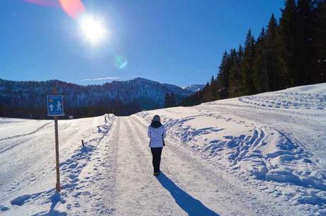 Premium Winterwanderweg Hemmersuppenalm