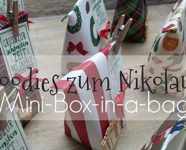 Nikolaus-Goodies: Box-in-a-bag (Mini) & Kurzanleitung