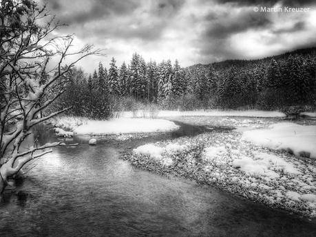 Bild der Woche: Winterträume in schwarz-weiß