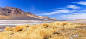 Atacamawüste Chile 