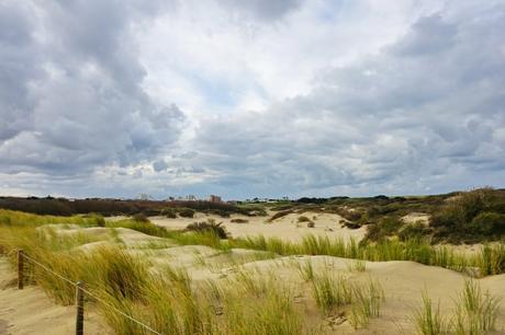 Noordwijk – viel Natur und noch mehr Strand